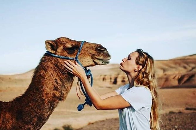 Sunset Camel Ride Experience in Marrakech Desert - Stay Informed With Cancellation Policy