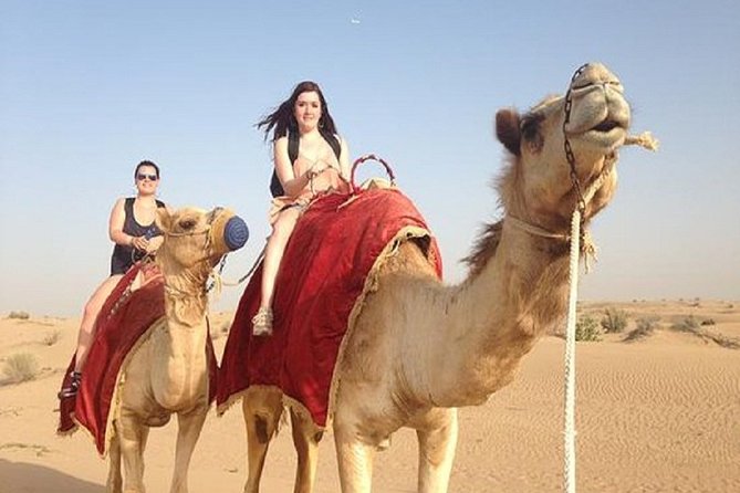 Sunset Camel Ride In Desert From Marrakech - Inclusions and Pricing