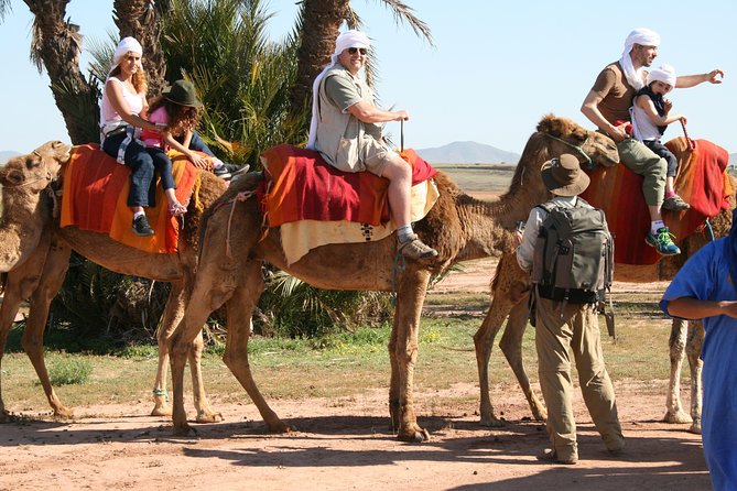 Sunset Camel Riding in the Palm Grove of Marrakech With Pickup-Drop off - Booking Information