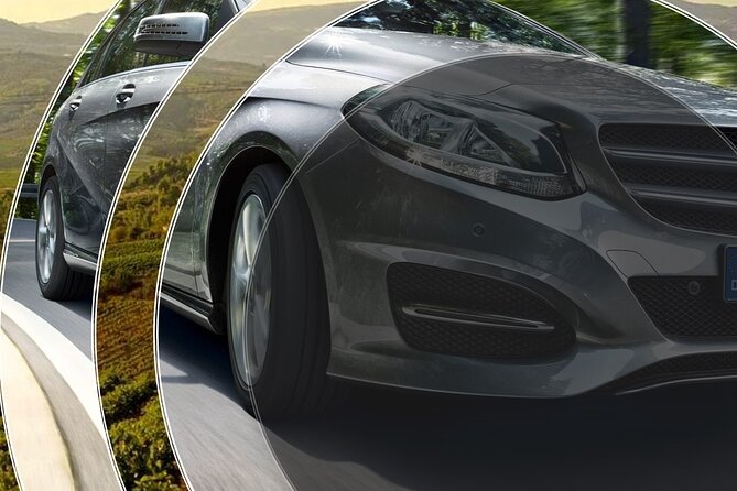 Sunset Private Winery Tour With Dinner - Operator and Price Details