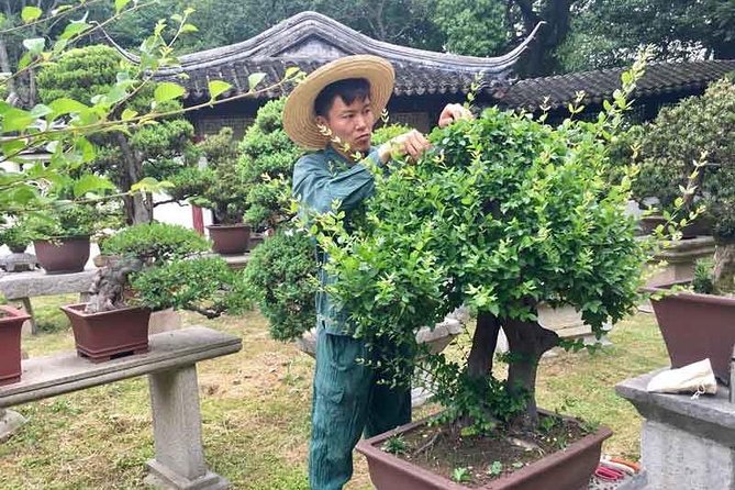 Suzhou Garden Tour From Shanghai: 4 Best Gardens in a Day - Shopping Opportunities