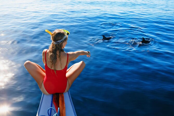 Swimming With Dolphin Private Speed Boat Experience in Hurghada - Price and Booking