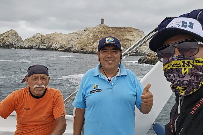 Swimming With Sea Lions in Lima - What to Expect