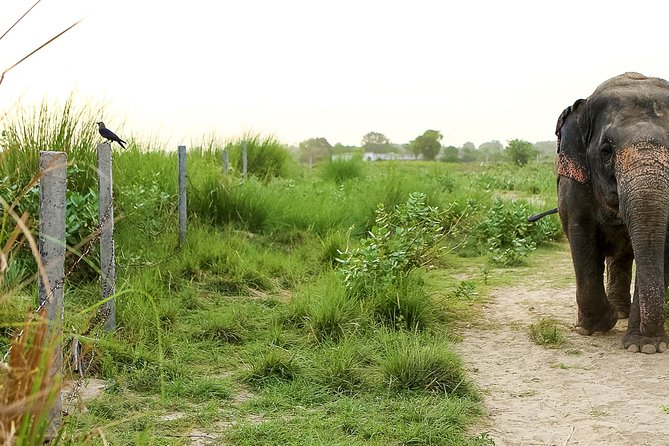 Taj Mahal Tour by Locals - Tour Highlights