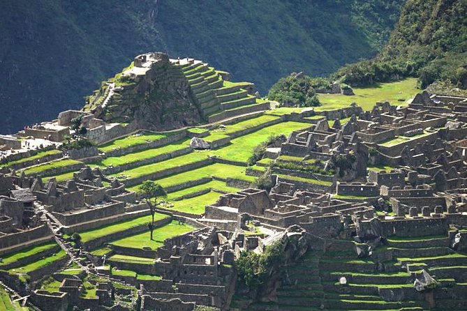 Take Your Sweet Selfie With Baby Alpacas - Half Day Tour Moray & The Salt Mines - Price & Availability
