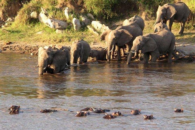 Tanzania 3-Day Private Safari With Full Board - Exploring Arusha Before or After