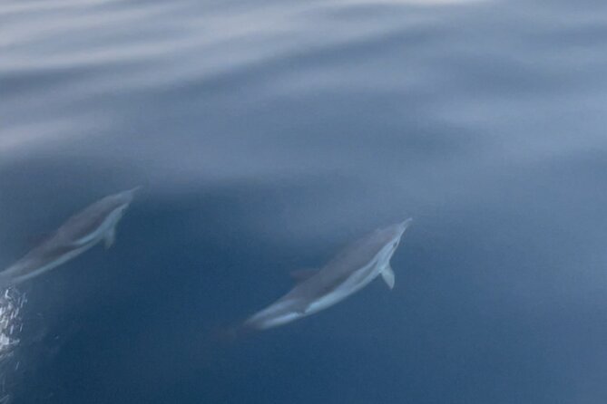 Taormina Dolfin 2-Hour Boat Tour - Directions