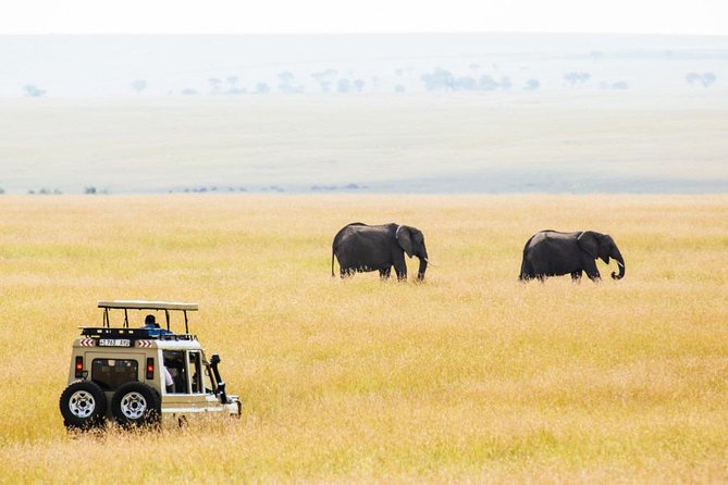 Tarangire National Park - Tips for Travelers