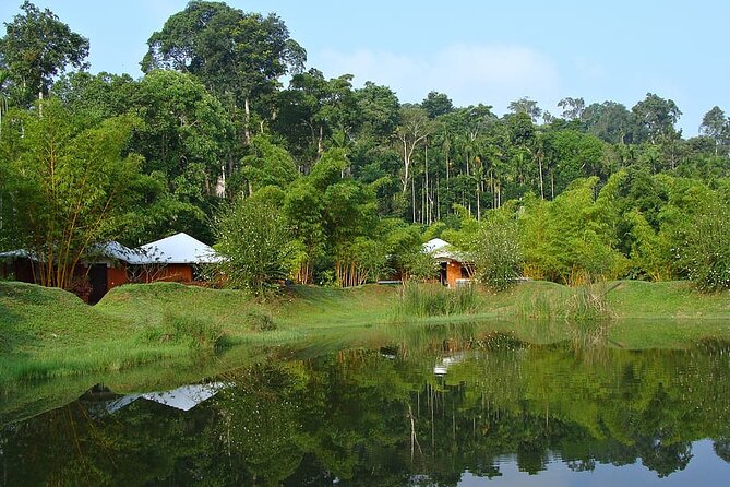 The Beauty And Culture Of Coorg - From Bangalore With Private Transfer - Experiencing Local Cuisine and Traditions