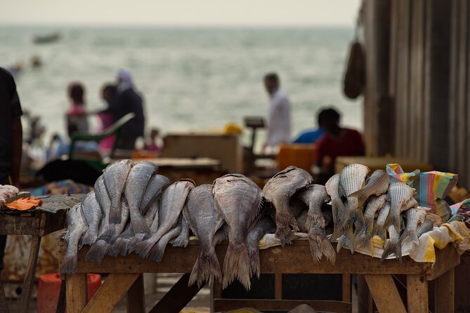 The Best of Nouakchott Tour by Car - Pricing and Guarantee Details