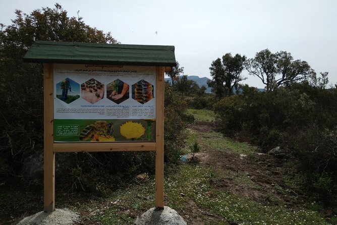 The Enchanting World of Bees in an EcoPrivate Tour in Chefchaouen - Directions and Meeting Point
