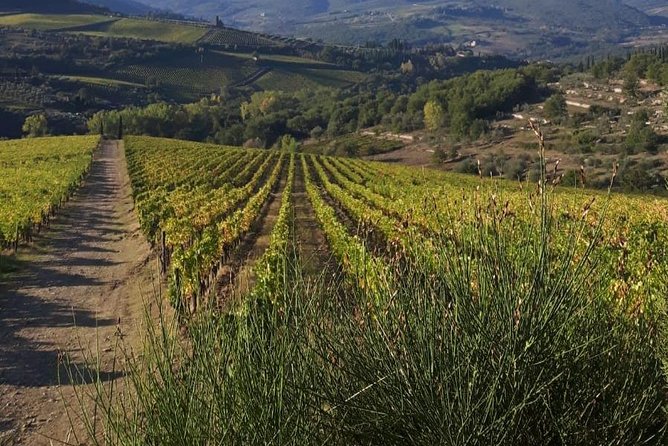 The Mall” Florence Outlet & Chianti Wine From Rome - Secure Your Spot Today