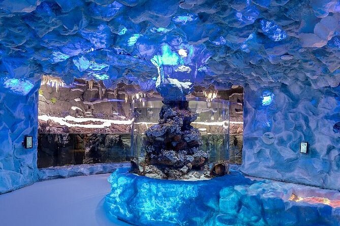 The National Aquarium in Abu Dhabi Tickets - Behind the Scenes Tour