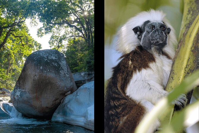 The New Lost City Bunkuany Tour Trekking - Additional Info