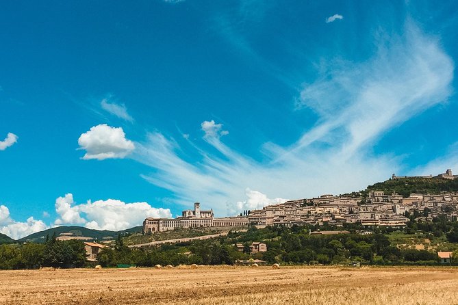 The Norcineria Art Cooking Lab With Lunch & Horseback Ride - Accessibility Information