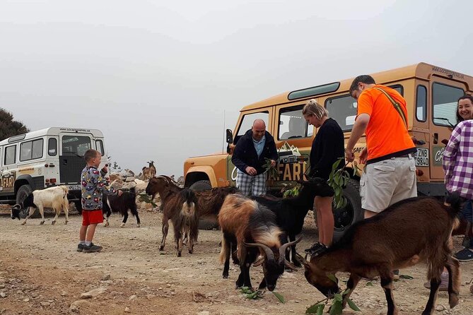 The Roads Of Wine Olive Oil And Cretan Tradition in Malia - Culinary Delights