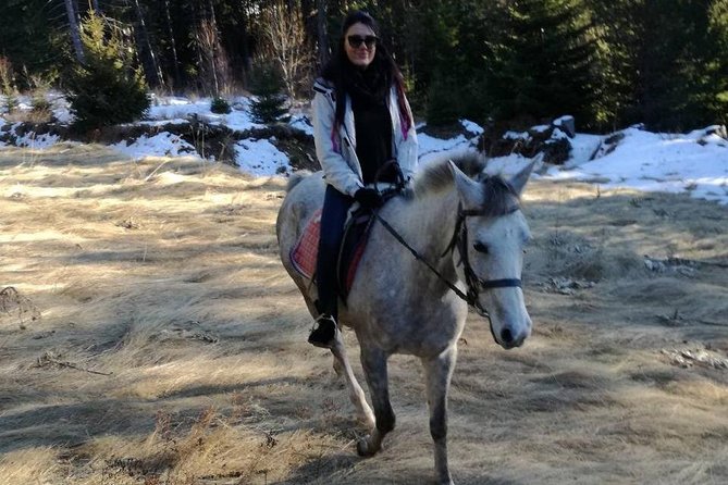 The Ultimate Private Balkan Horse Riding Experience - Accessibility and Suitability