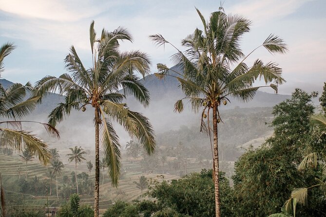 The Unmissable Highlights of Bali - Pickup Information and Transfers