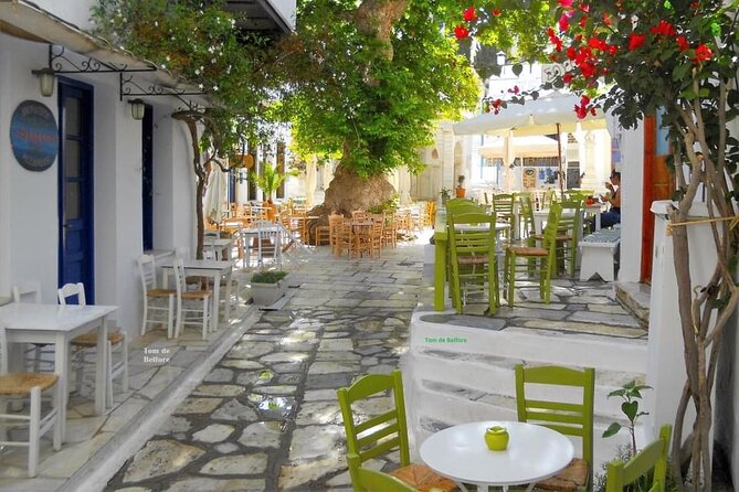 Tinos Private 3 Hours Eco Tour - Booking Process