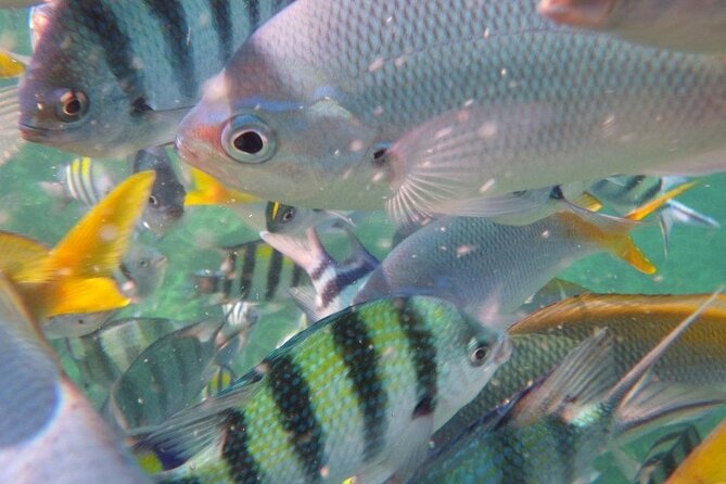 Tioman Waterfall & Snorkeling Private Tour - Cancellation Policy