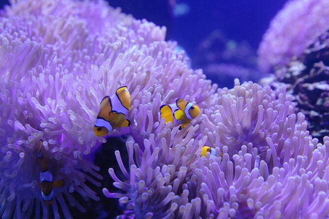 Tip of Borneo Kudat 3 Days Night Private Tour - Cancellation Policy Details