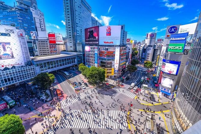 Tokyo City Private Tour up to 6 Persons - Pricing Information