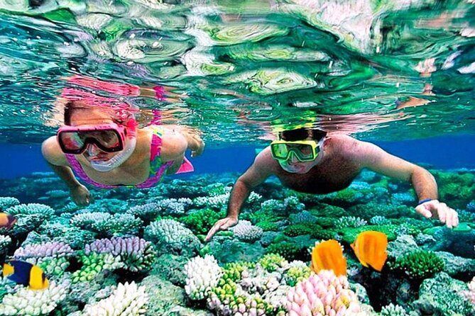 Top Attractions In Sharm El Sheikh In Full Day Tour From Cairo - Pricing and Guarantees