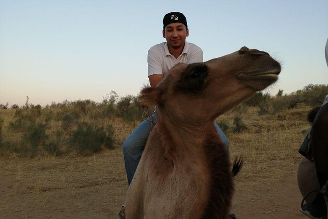 Tour in Samarkand, Bukhara With Nurata (7d6n) - Price and Booking Information