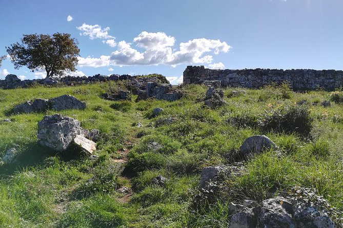 Tour of the Pre-Roman Istria - Pricing and Options