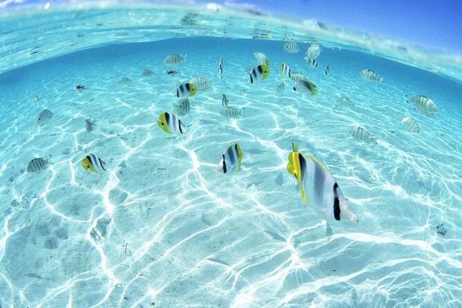 Tour to Abu Gallum National Park and Snorkeling at Blue Hole - What To Expect