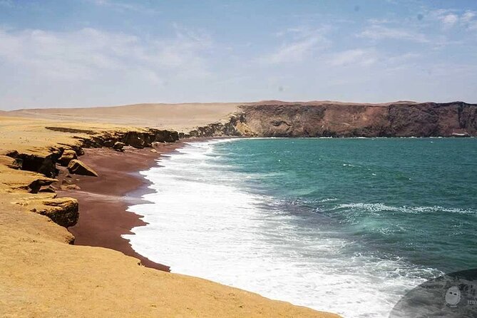 Tour to the Paracas National Reserve for Cruise Travelers - Frequently Asked Questions