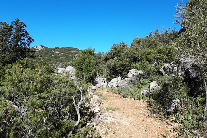 Tracks of the Ogliastra Mountains - Cancellation Policy and Refunds