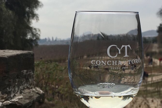 Traditional Tour at Concha Y Toro Winery - Reviews and Ratings