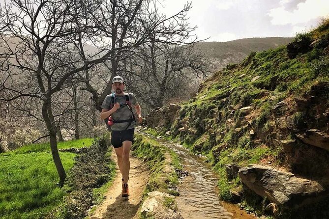 Trail Running Day Tour In Atlas Mountains From Marrakech - Cultural Insights