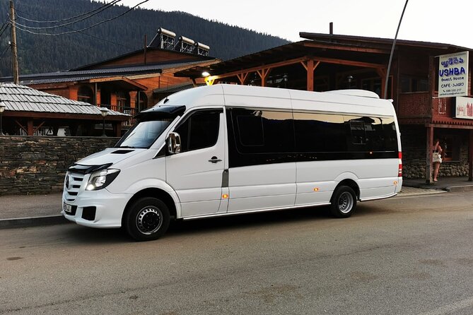 Transfer From Tbilisi Airport to Borjomi and Bakuriani. - Booking Instructions