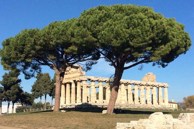 Transfer- Rome to Naples With a 120 Minutes Stop in Herculaneum or Vice Versa - Booking Process