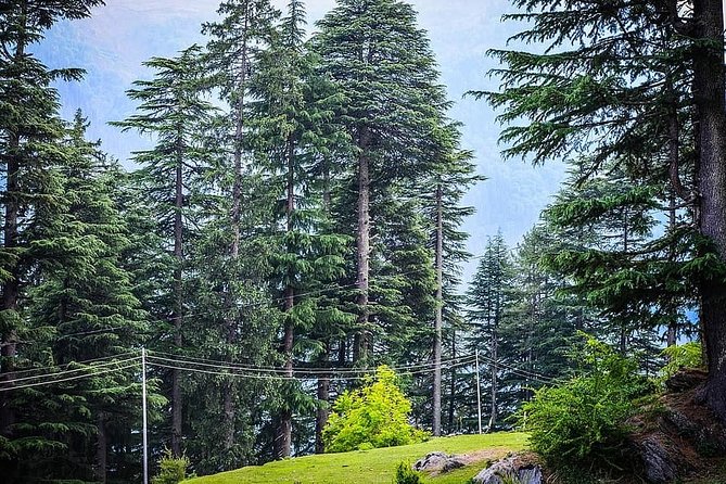 Trekking and Overnight Camp in Rishikesh - Cancellation Policy Overview