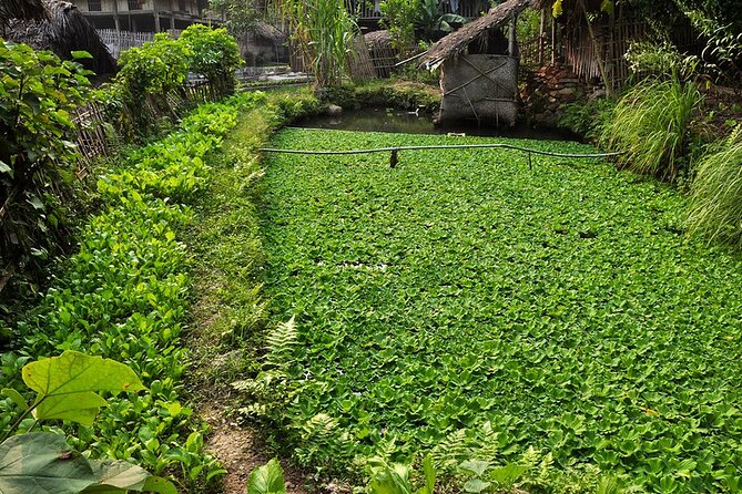 Trekking Through Hoang Su Phi Rice Fields 4 Days 3 Nights - Health and Safety Tips