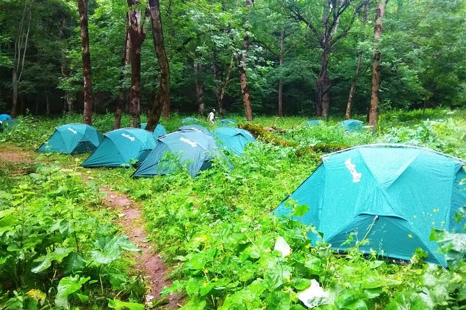 Trekking Tour in Armenia / 9 Days - Day 4: Dilijan National Park