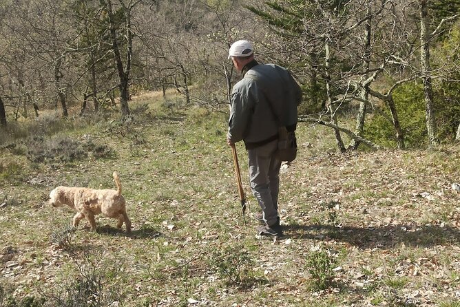 Truffle Hunting Experience With Lunch and Chianti Wine Tasting - Pricing Overview