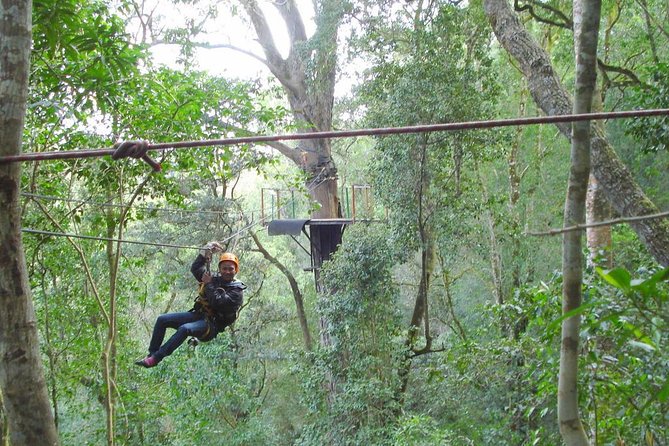 Tsitsikamma PRIVATE TOUR – Full Day