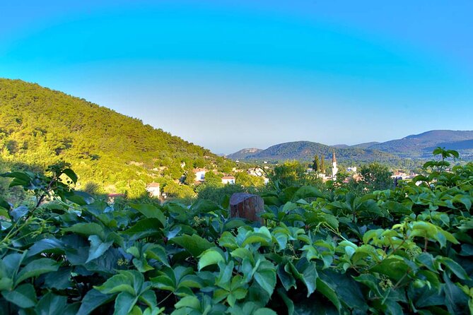 Turkish Village Life Tour From Kusadasi