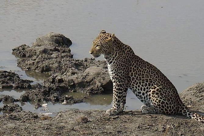 Two-Day Mikumi Adventure: Game Drives & Park Walks - Booking and Pricing