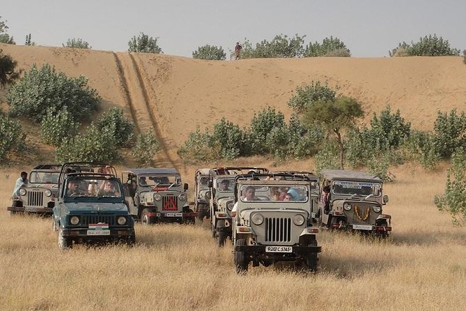 Two Days Package ( Camel Safari and Bishnoi Village Safari ) - Important Considerations