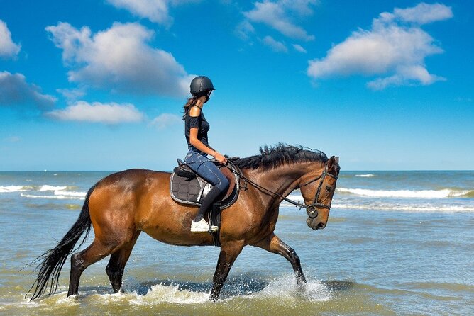 Two Hours Horse Riding With Transfer From Hurghada All Fees Paid - Booking Policies