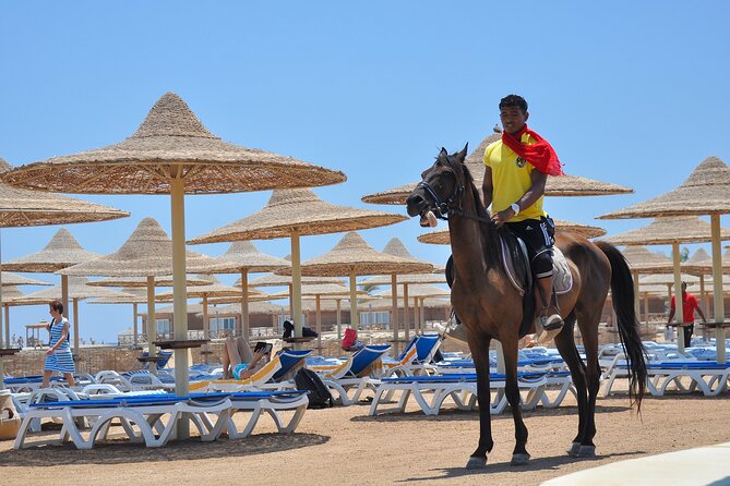 Two Hours Horse Riding With Transportation Hurghada - Safety Measures