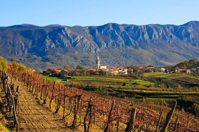 Two Wine Regions Within A Day - Gastronomic Delights