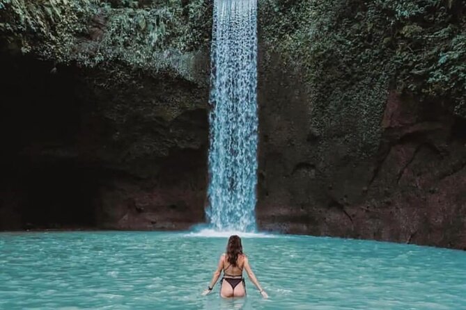 Ubud Charter Tour Waterfall Nature and Rice Fields - What To Expect