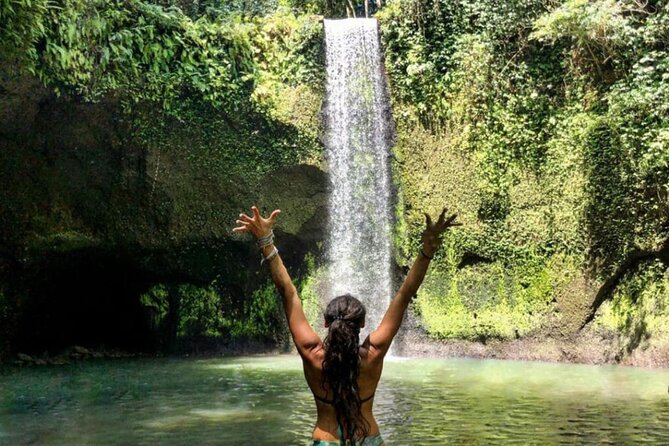Ubud Higlights Monkey Forest Rice Terrace and Temple Tour - Additional Details