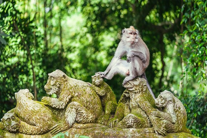UBUD White Water Rafting & Monkey Forest Tour - Booking Information
